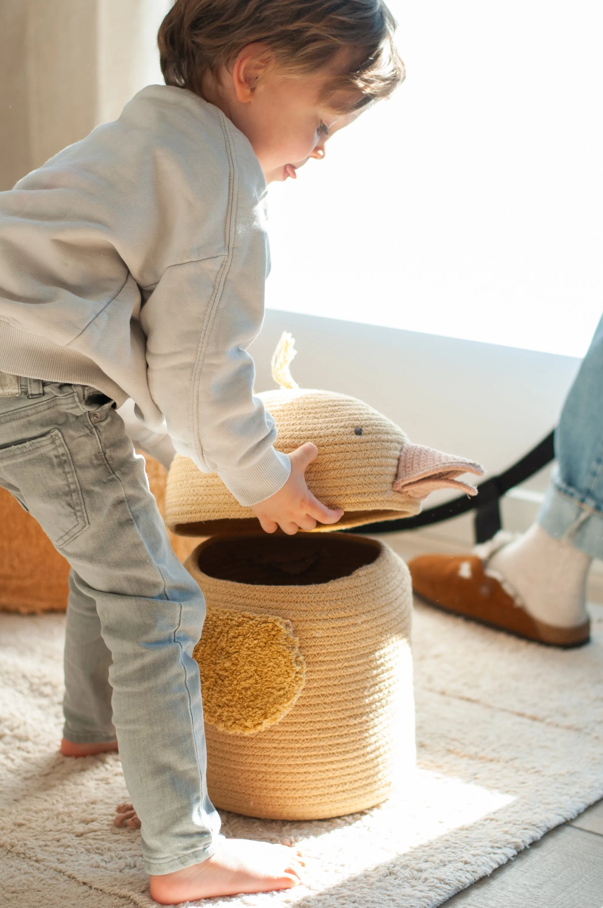 Charlie the Chicken Storage Basket