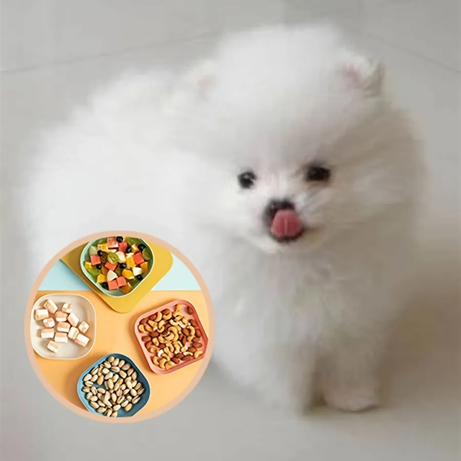 Colorful Pet Feeder Set 4pcs Plastic Bowl for Dogs  Cats