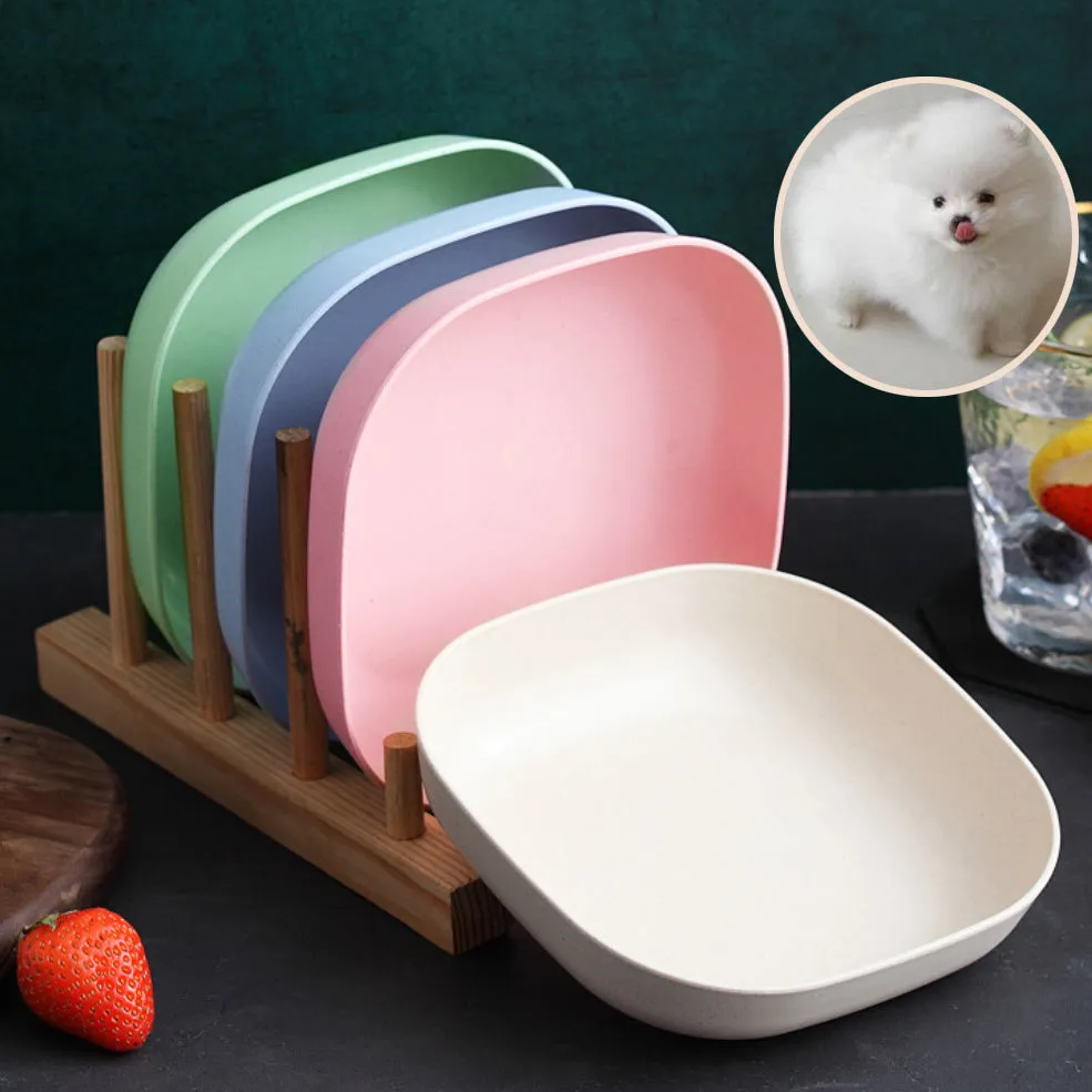 Colorful Pet Feeder Set 4pcs Plastic Bowl for Dogs  Cats