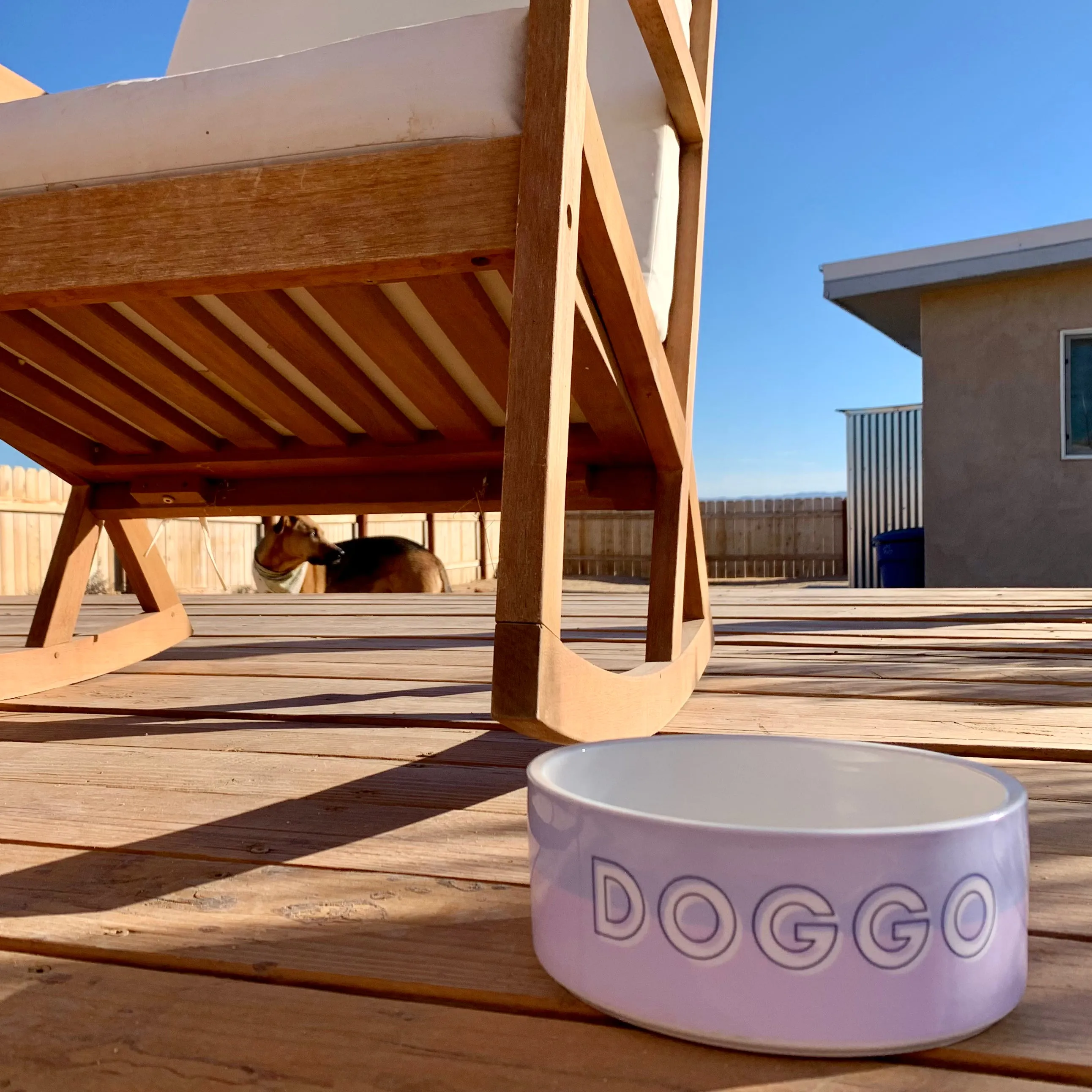 Custom Color Duo Dog Bowl