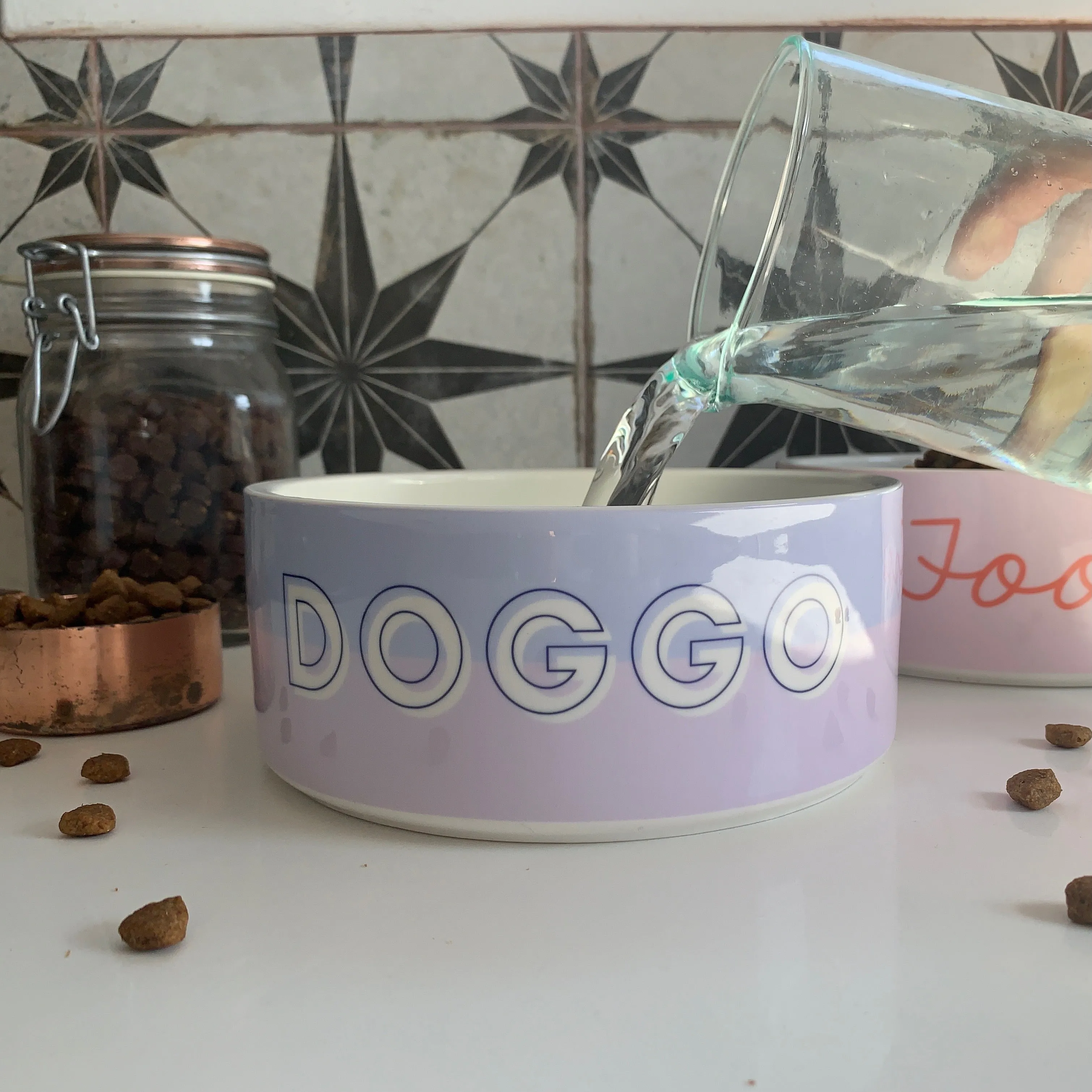 Custom Color Duo Dog Bowl