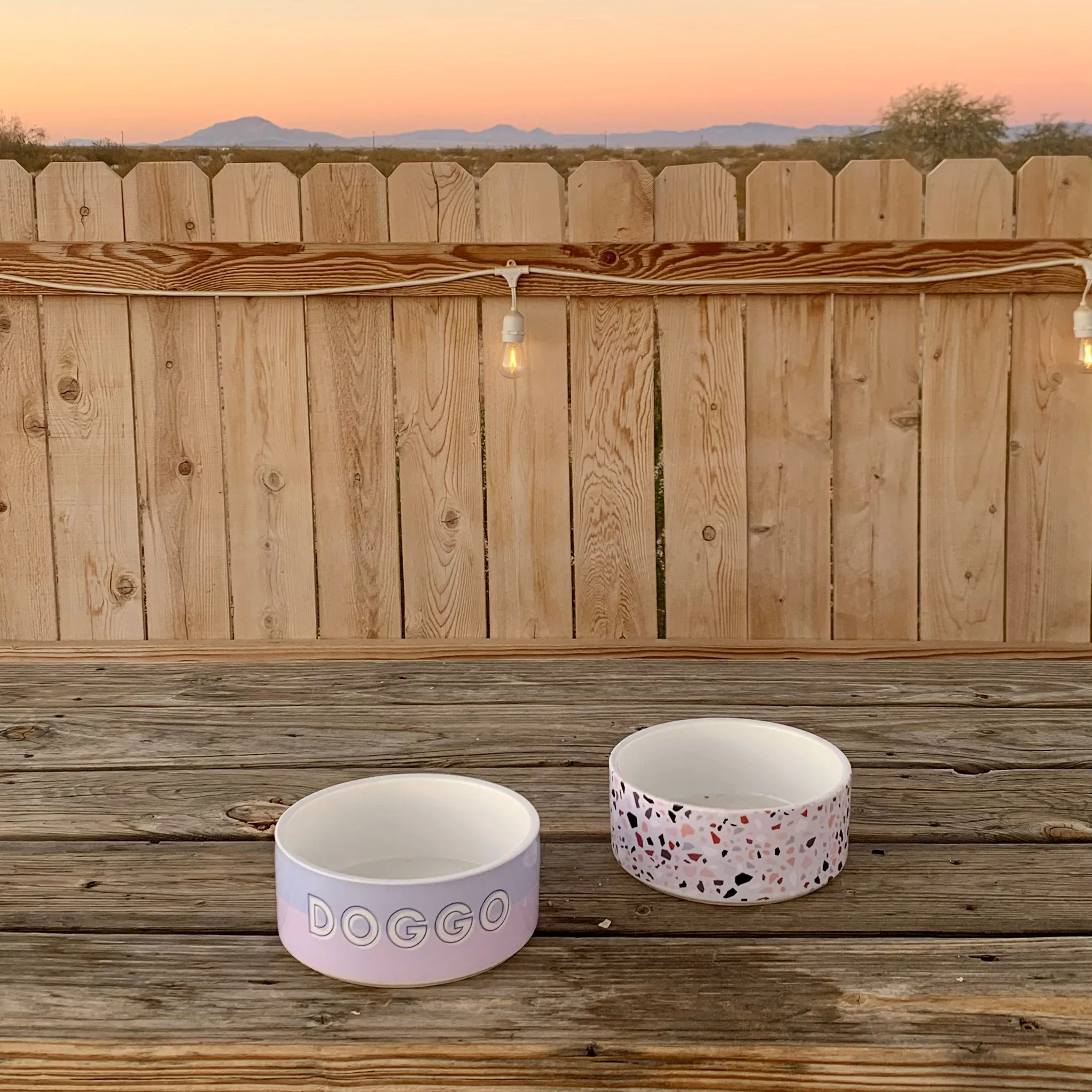 Custom Color Duo Dog Bowl