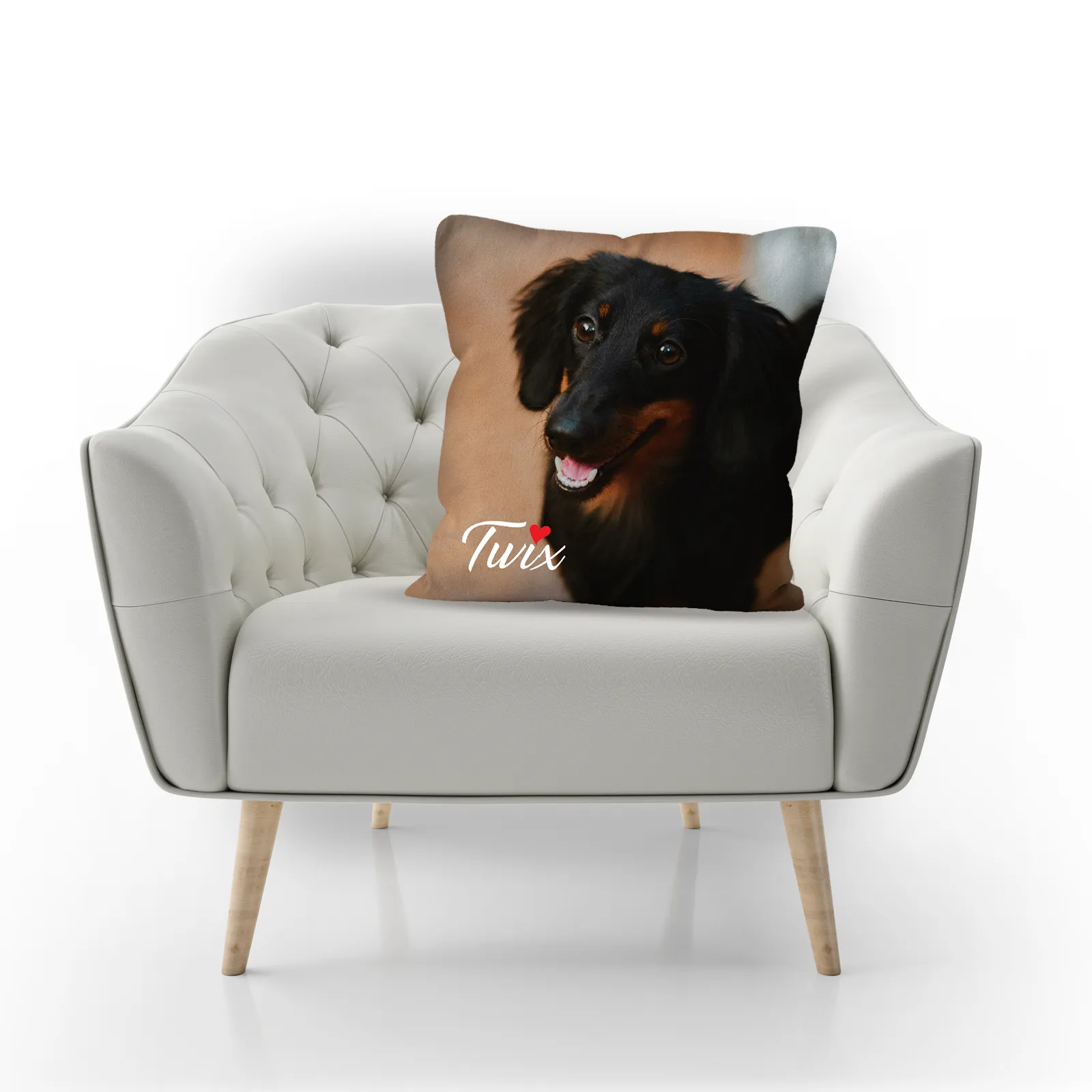 Pet Portrait with Name Photo Pillow