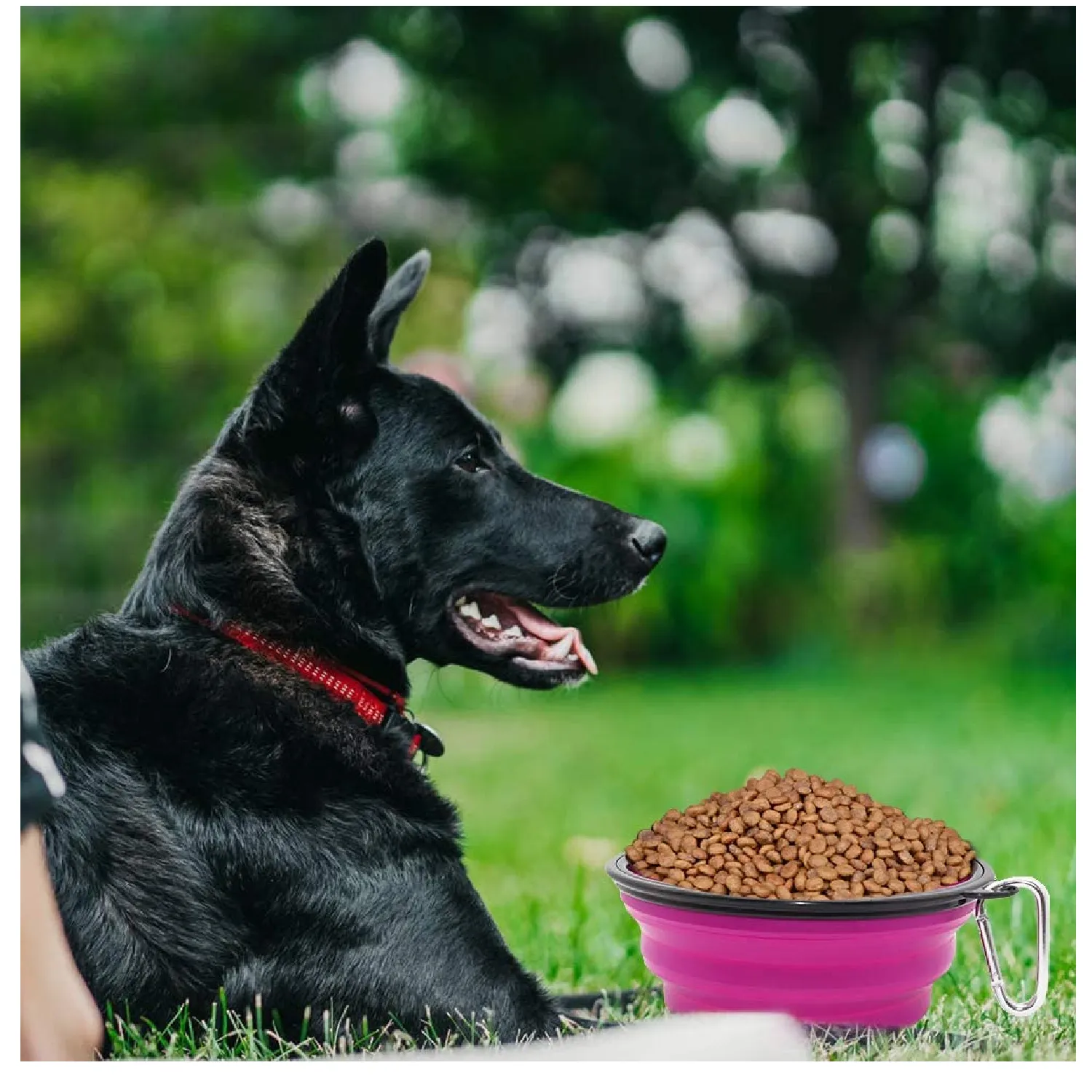 SLSON | Collapsible Dog Bowl - 2 Pack Collapsible Water Bowls for Dogs and Cats