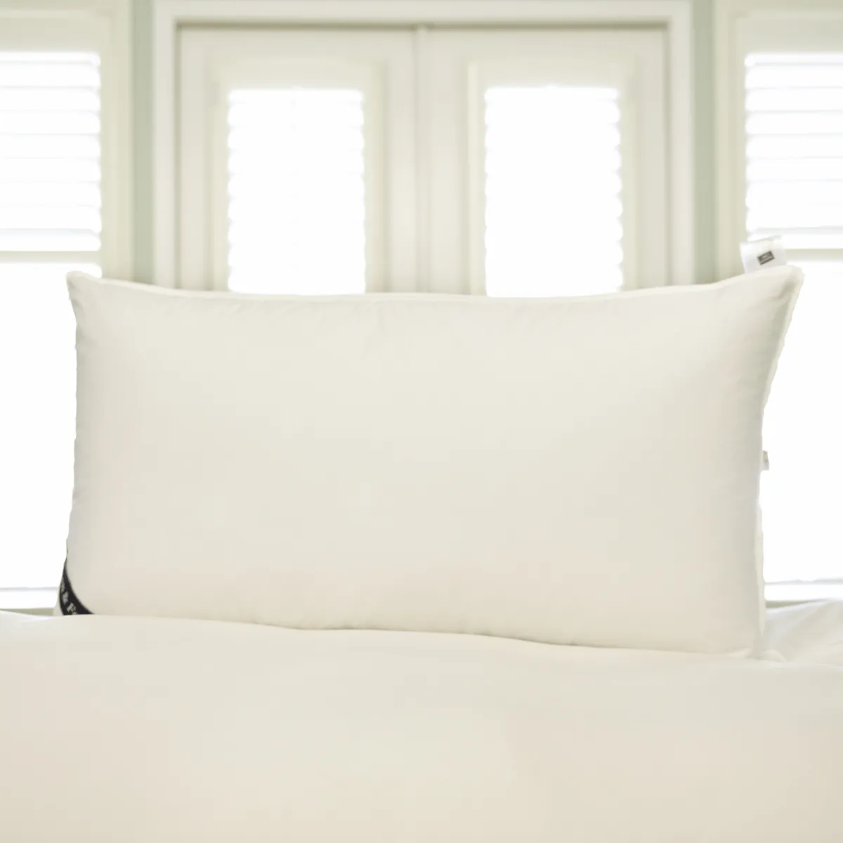 Snuggle Soft 850 Goose Down Pillow King Size - Soft