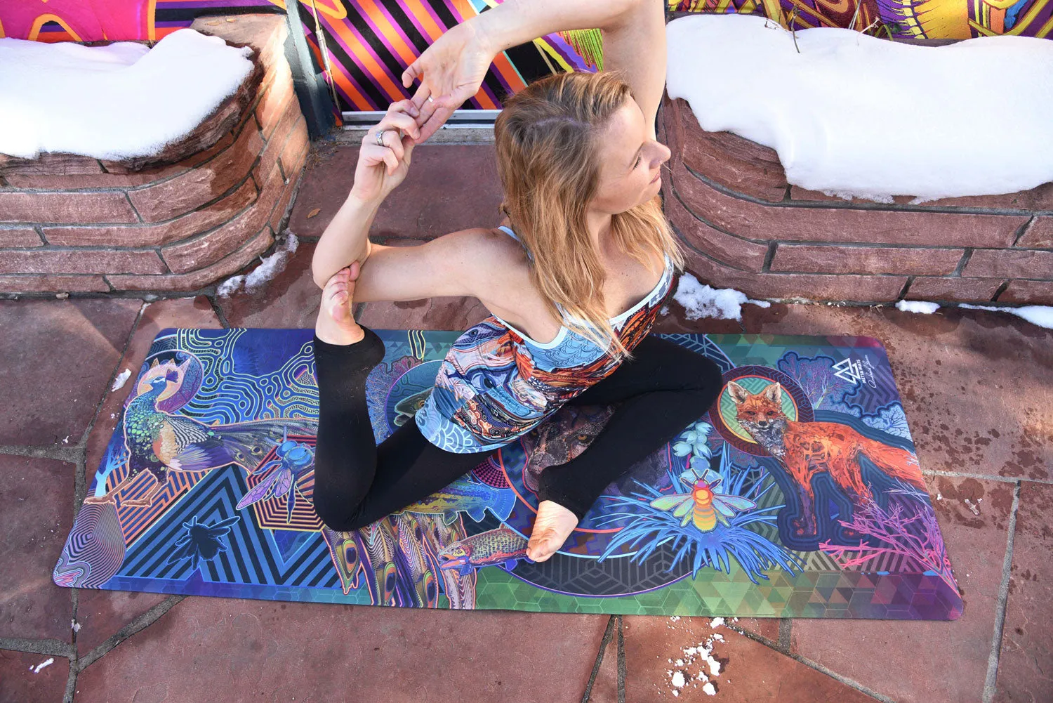The Lyons Mural Yoga Mat: Second Edition