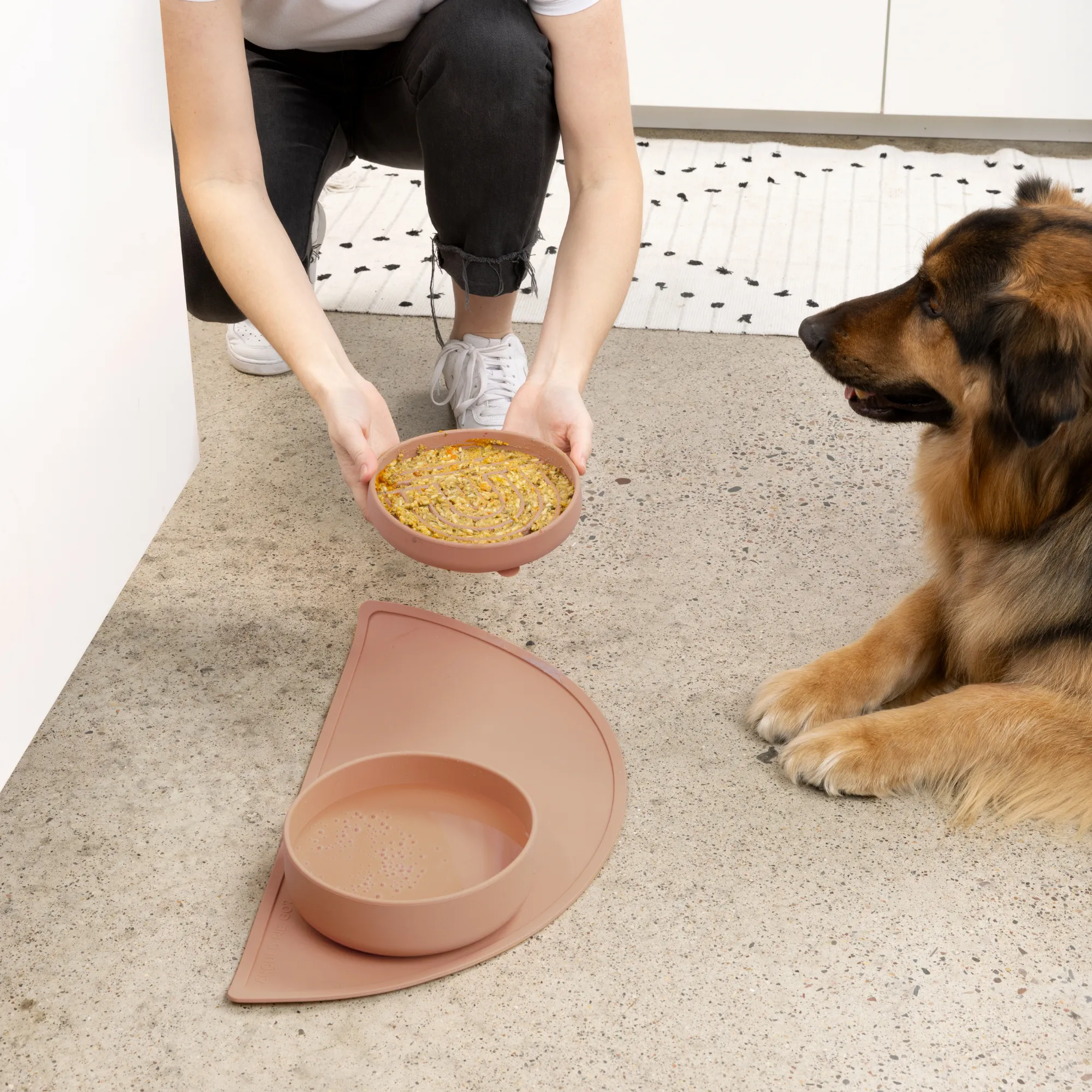 The Perfect Dish