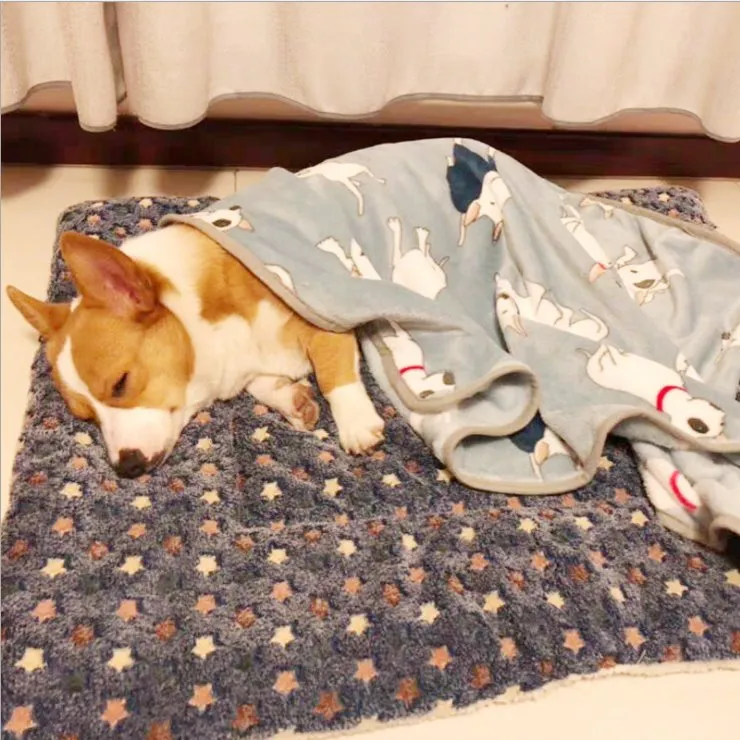 Thick and Soft Pet Blanket