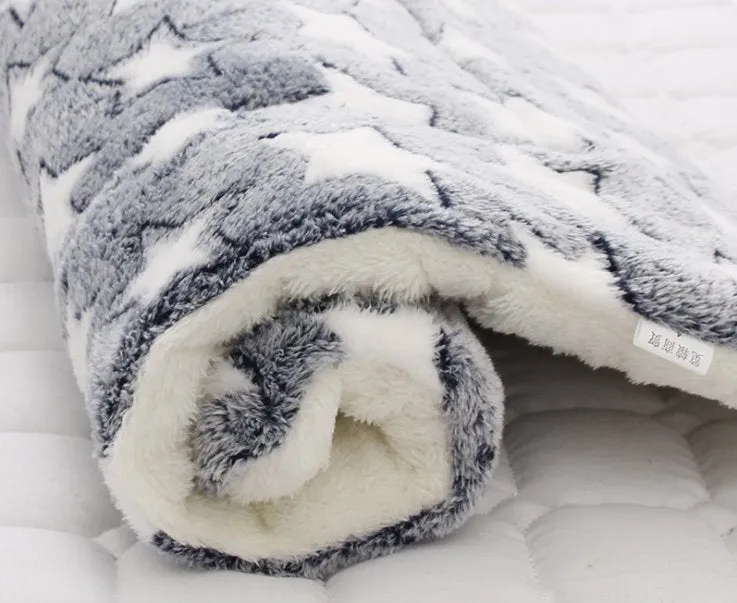 Thick and Soft Pet Blanket