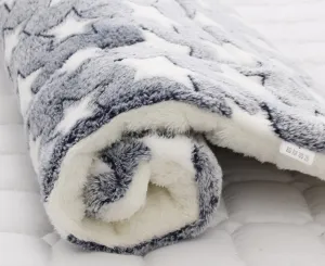 Thick and Soft Pet Blanket