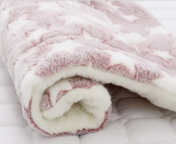 Thick and Soft Pet Blanket